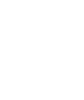 logo MS vip